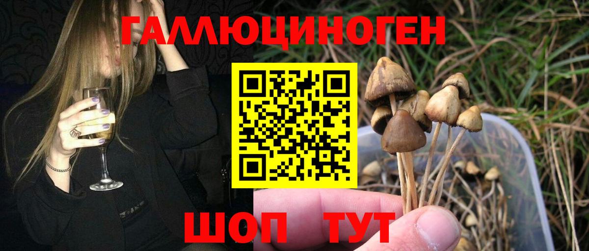 Кубинка  Псилоцибиновые грибы Magic Shrooms  Вход с VPN 